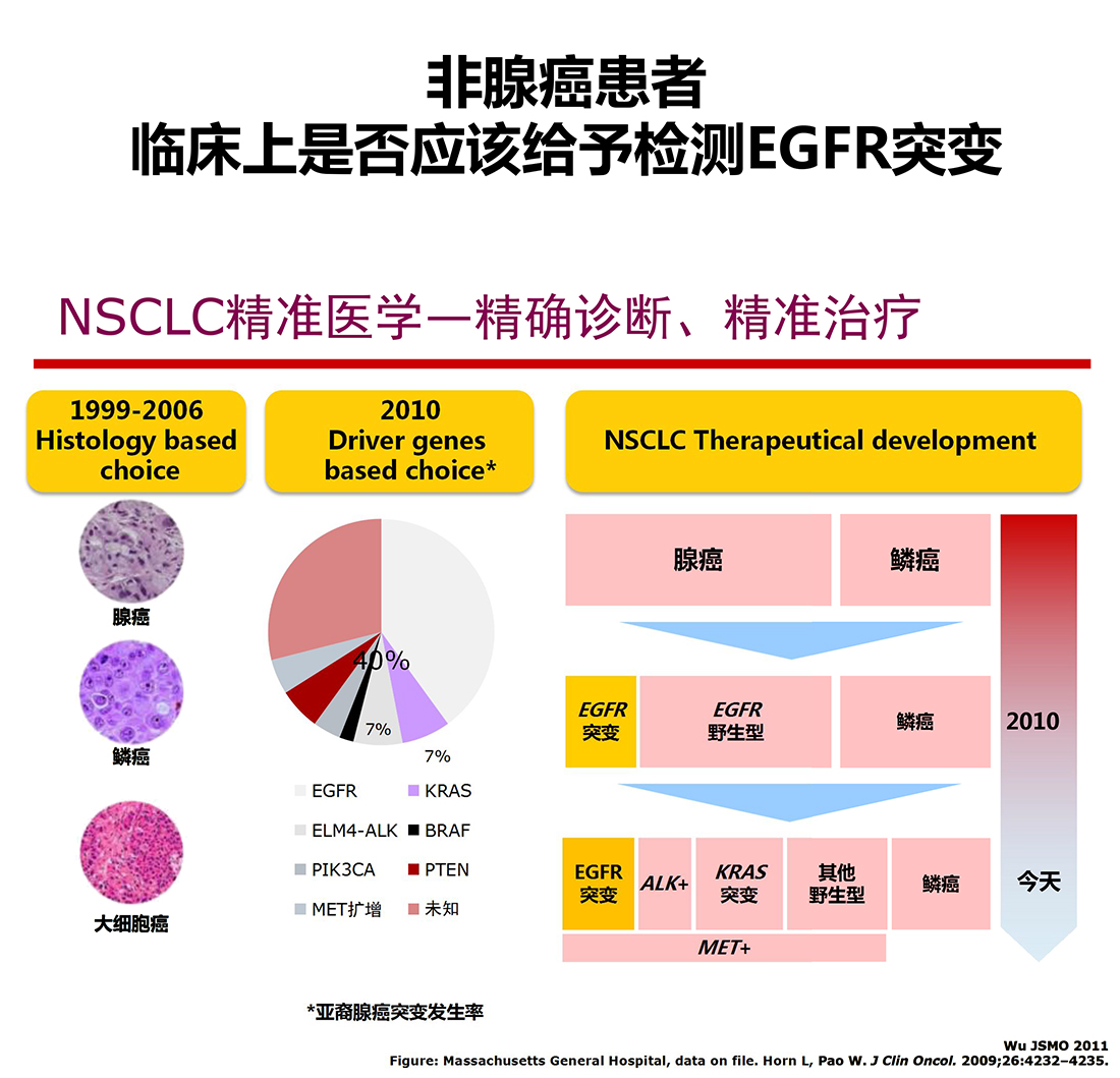 肺腺癌患者是否检测EGFR-2 拷贝.jpg